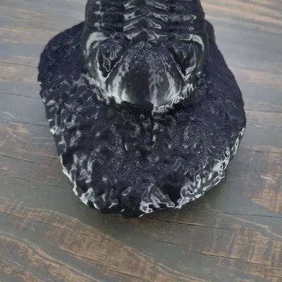 Mẫu hóa thạch Trilobite trong đá tự nhiên