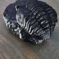 Mẫu hóa thạch Trilobite trong đá tự nhiên - Thumbnail 2