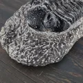 Mẫu hóa thạch Trilobite trong đá tự nhiên - Thumbnail 4