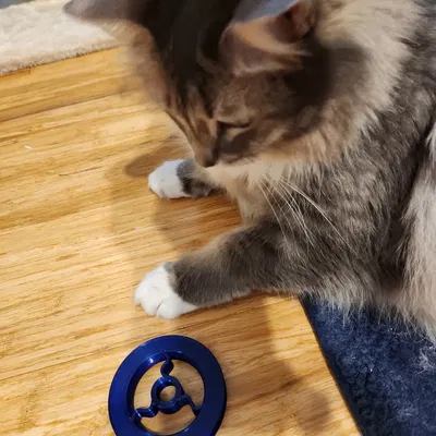 Pulley sâu cho hệ thống cuộn bên Artillery Sidewinder X2