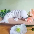 Beluga fidget linh hoạt Wiggly Smi in 3D - Thumbnail 1
