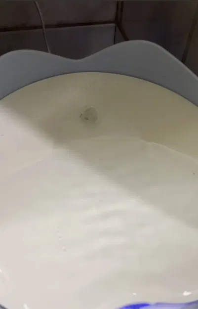 Vòi thay thế cho bình nước Catit Pix cho mèo - Image 4