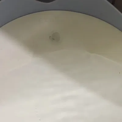 Vòi thay thế cho bình nước Catit Pix cho mèo