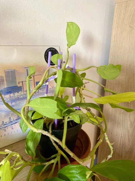 Giá đỡ cây leo mô-đun tùy chỉnh cho cây trồng - Image 1