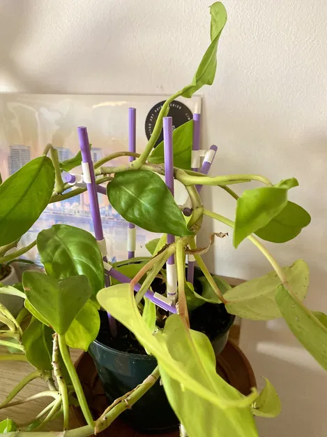 Giá đỡ cây leo mô-đun tùy chỉnh cho cây trồng - Image 4