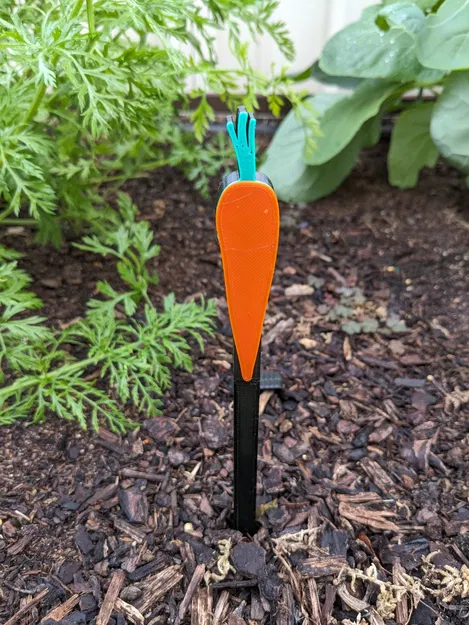 Dấu hiệu rau củ cà rốt cho vườn rau - Image 1