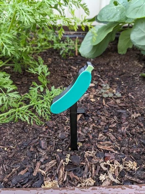 Biển chỉ dẫn rau zucchini cho vườn rau - Image 1