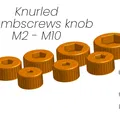 Núm vặn Thumbscrews M2 - M10 thay thế cho giá đỡ nhạc - Thumbnail 1