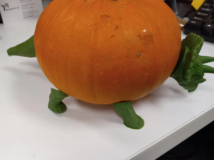 Triceratops bí ngô trang trí cho mùa Halloween - Image 2