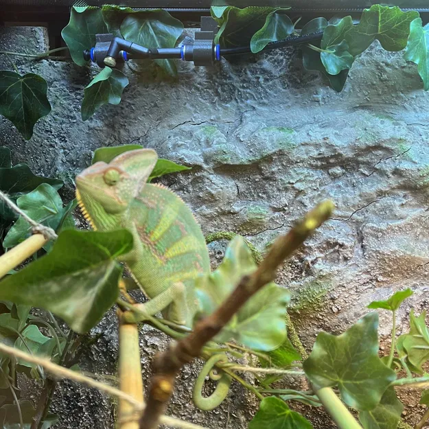 Móc vòi phun mưa nặng cho "Repti Planet Heavy Rain - Image 1