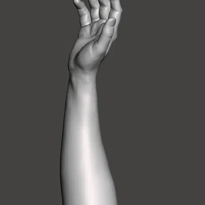 Vị trí tự nhiên của tay và cẳng tay (Quét)