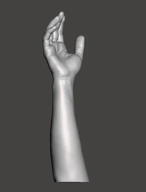 Vị trí tự nhiên của tay và cẳng tay (Quét) - Image 2