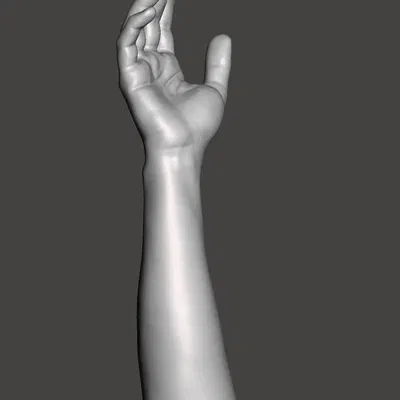 Vị trí tự nhiên của tay và cẳng tay (Quét)