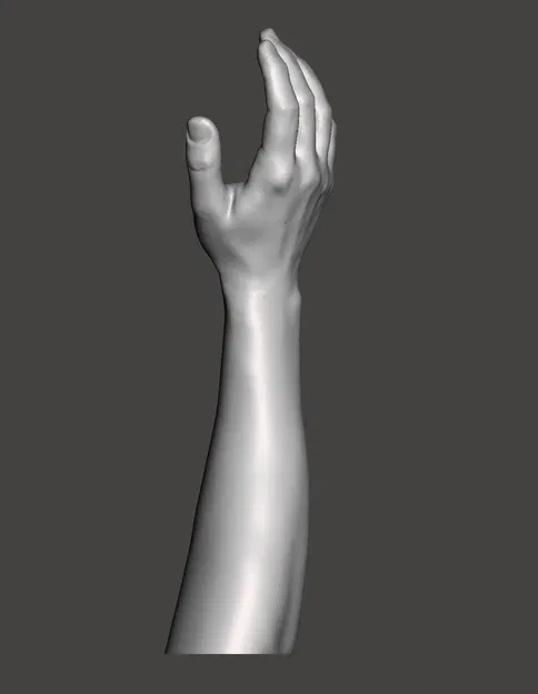 Vị trí tự nhiên của tay và cẳng tay (Quét) - Image 3