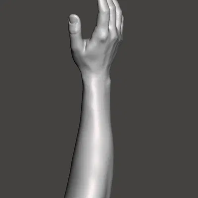 Vị trí tự nhiên của tay và cẳng tay (Quét)