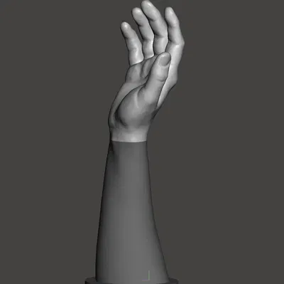 Vị trí tự nhiên của tay và cẳng tay (Quét)