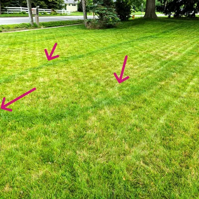 Bộ phụ kiện sửa chữa cho máy rải phân bón Scotts EdgeGuard Mini