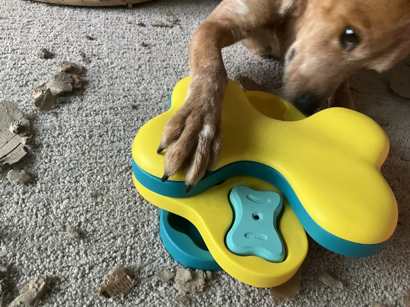 Các bộ phận thay thế cho đồ chơi chó tương tác giải đố của Nina Ottosson - xương, nắp "gạch chó" - Image 4