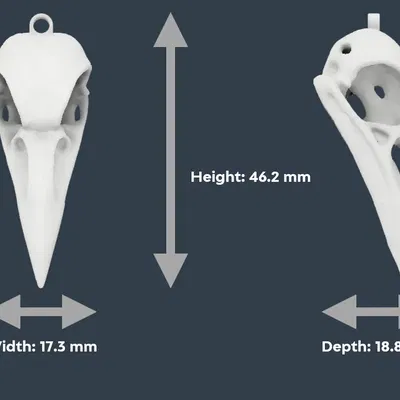 Bông tai và mặt dây chuyền đầu quạ cho Halloween