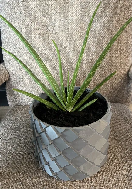 Chậu cây hình vảy rồng XL với lỗ thoát nước - Image 1