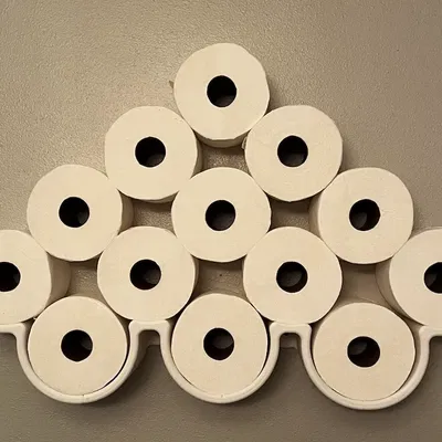 Giá đỡ giấy vệ sinh treo tường tiện lợi