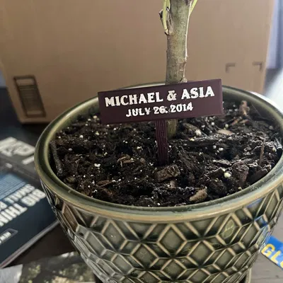 Biển hiệu gỗ trống đơn giản với chân đế vân gỗ