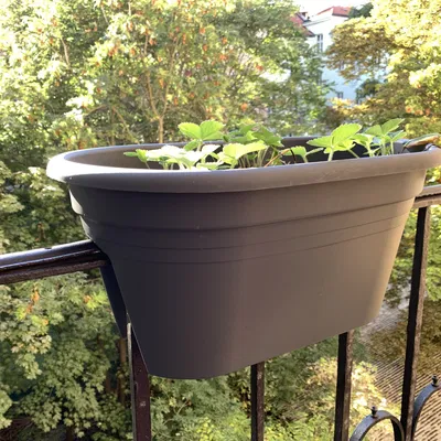 Giá đỡ chậu hoa cho lan can Parkside và Ebertsankey