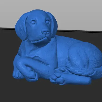 Chú chó dễ thương in 3D với kích thước gốc