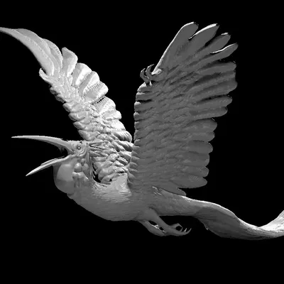 Chim Cikavak từ Kobold Press Tome of Beasts