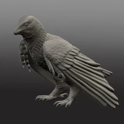 Mô hình sapeornis chính xác khoa học với chi tiết lông và vảy