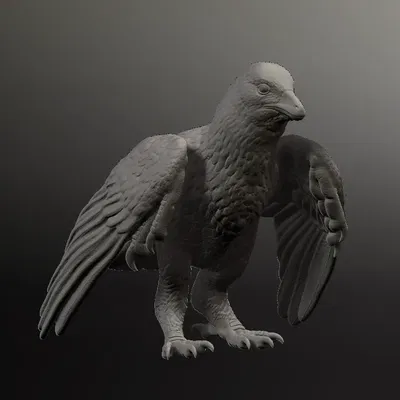 Mô hình sapeornis chính xác khoa học với chi tiết lông và vảy