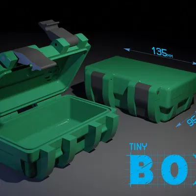 Hộp nhỏ lưu trữ đồ vật quan trọng tiện lợi