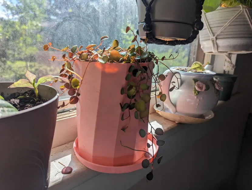 Chậu cây đơn giản và khay nhỏ giọt - Image 1