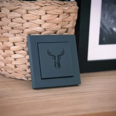 Công tắc Gira System 55 Rocker với thiết kế đa dạng