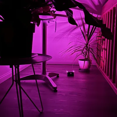 Đèn ngủ cảm biến chuyển động cho Raspberry Pi Zero