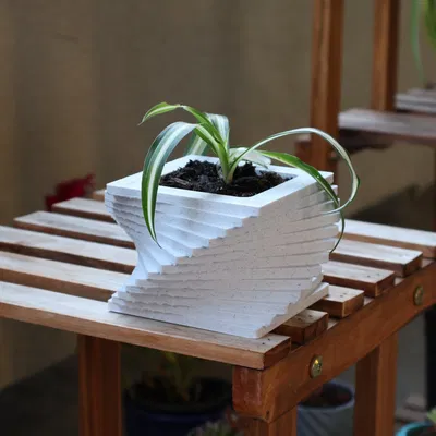 Chậu cây hình vuông xoắn độc đáo cho cây trồng