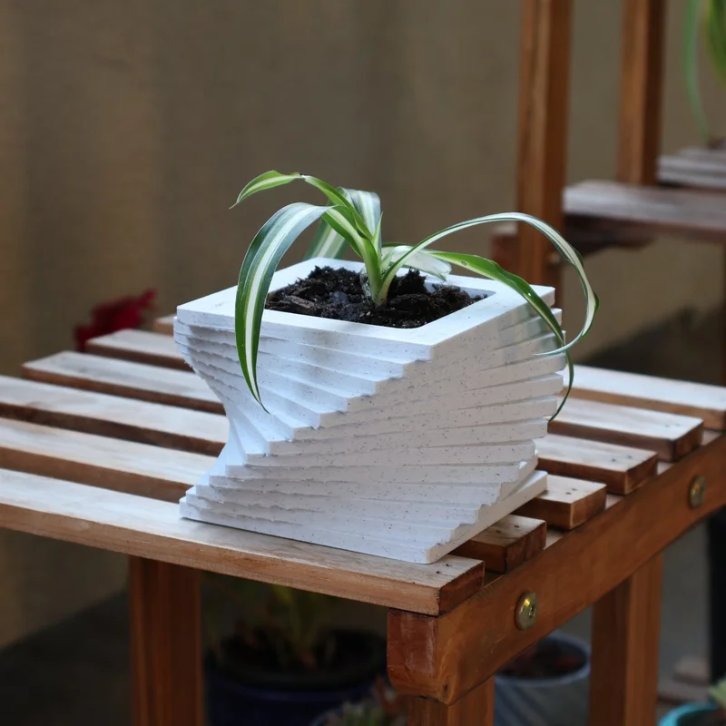 Chậu cây hình vuông xoắn độc đáo cho cây trồng