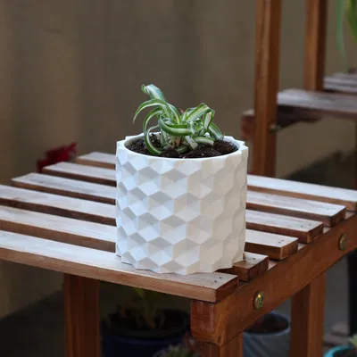 Chậu trồng cây hình lục giác ngược có lỗ thoát nước