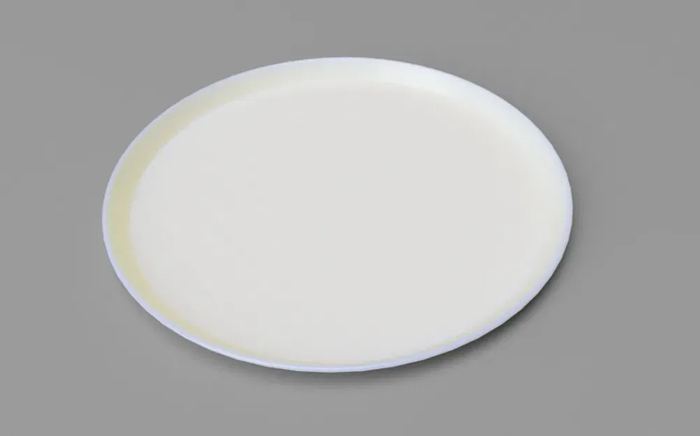 Đĩa tròn 100mm cho chậu hoa - Image 1