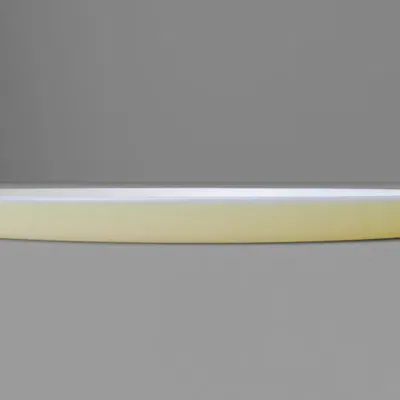 Đĩa tròn 100mm cho chậu hoa