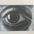 Mắt của MC Escher - Tác phẩm nghệ thuật độc đáo - Thumbnail 2