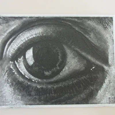 Mắt của MC Escher - Tác phẩm nghệ thuật độc đáo