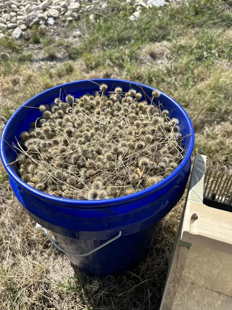 Máy thu hoạch hạt hoa dại tự chế bằng đinh khung 3 1/2 inch - Image 3