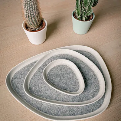 Bộ khay đựng đồ hình dạng hữu cơ đơn giản và thanh lịch