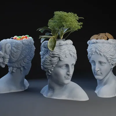 Bát cây Venus hình đầu nữ thần