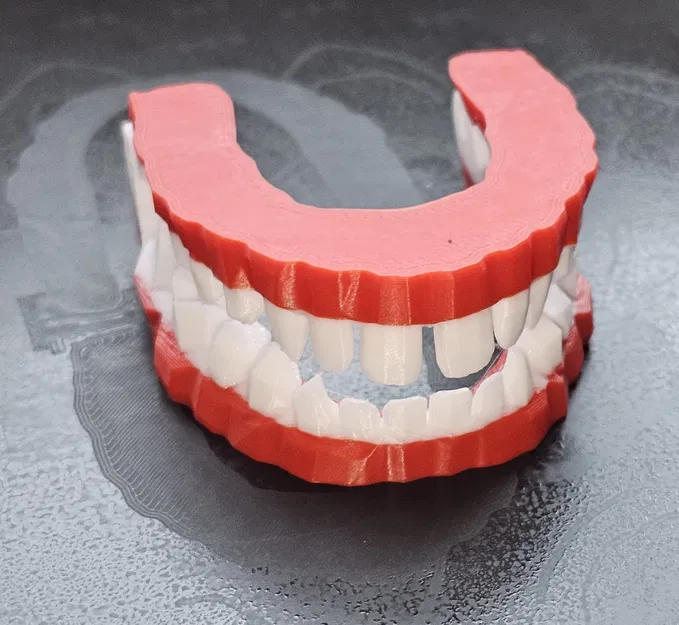 Huấn luyện viên đánh răng cho trẻ em - Image 1