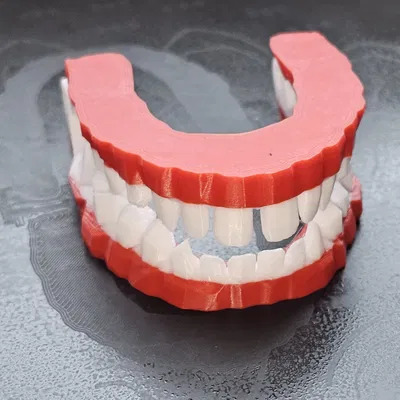 Huấn luyện viên đánh răng cho trẻ em