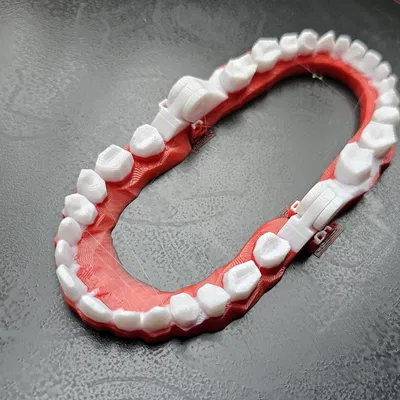 Huấn luyện viên đánh răng cho trẻ em