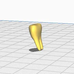 Mô hình răng người chi tiết cho in 3D