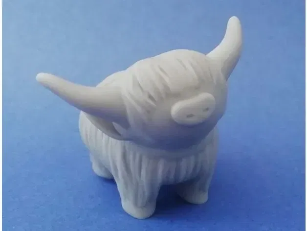 Bò cao nguyên con dễ thương trẻ tuổi - Image 2